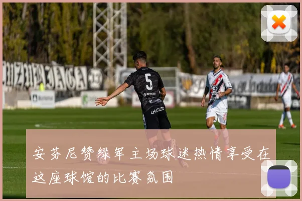 安芬尼赞绿军主场球迷热情享受在这座球馆的比赛氛围