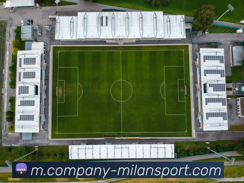 米兰体育APP 封面图